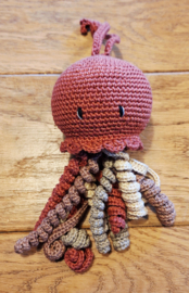 Wagenhanger jellyfish roodbruin