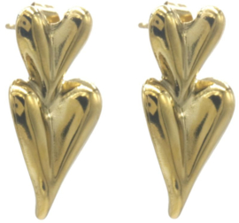 Oorbellen hartjes stekers