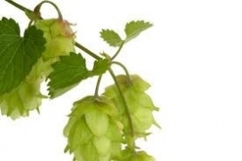 Hop CO2 5 ml