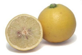 10 ml.bergamot (citrus aurantium bergamia) Italië