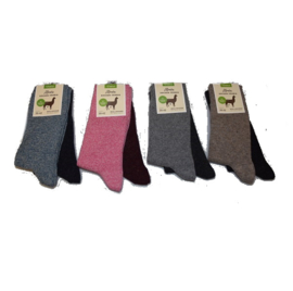 Alpaca socken Fabian - 2 pack