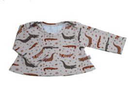 Shirtjes