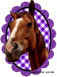 SUPER full color strijkapplicatie paard in paars glitter frame