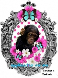 SUPER full color applicatie chimpansee