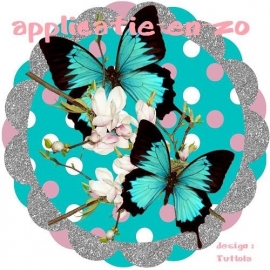 SUPER full color applicatie vlinders