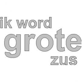 veloursmotief wit ik word grote broer/ zus