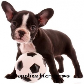 SUPER full color applicatie hond met voetbal