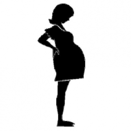 veloursmotief zwangere dame 1