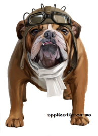 SUPER full color strijkapplicatie Engelse Bulldog