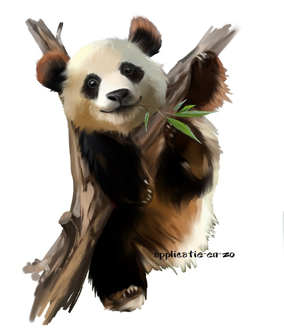 SUPER full color strijkapplicatie panda
