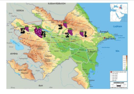​Azerbeidzjan: Savalan Winery – Marselan/Syrah