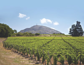 Frankrijk: Maubet Tannat & Merlot