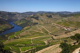 Portugal : Kranemann Ruby Port