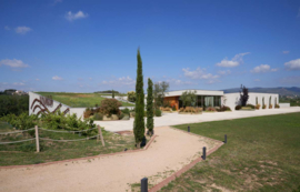 Pinord Diorama Chardonnay