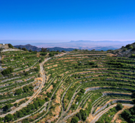Cyprus – Lemesos | Tsiakkas Winery – Mouklos