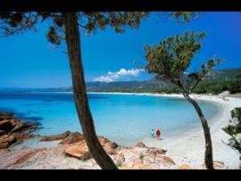 Corsica - By the Grape