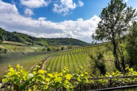 Pietrame Montepulciano d’Abruzzo