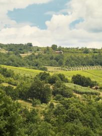 Italië – Campanië | Villa Raiano - Virgo Campania Rosso