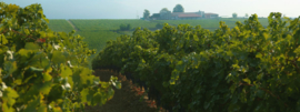 Griekenland: Ktima Petriessa Syrah