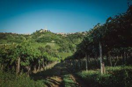 Pietrame Montepulciano d’Abruzzo