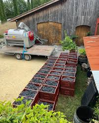 Domaine Les Carmels Copains Comme Cochons