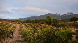 Garoa Rioja blanco barrica