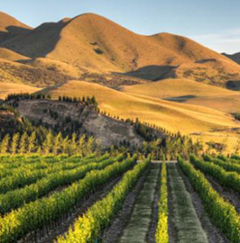 Reflets Secrets Rosé