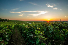 Gevrey-Chambertin Justice
