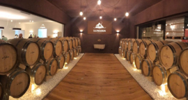Italië : Lunaria Montepulciano d'Abruzzo Coste di Moro