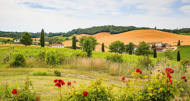 Frankrijk: Domaine Duffau - Bulles Rouge Brut (Vin Nature)