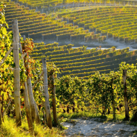 Barolo Chionetti Parussi
