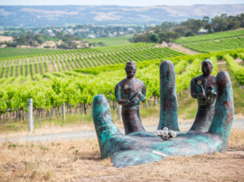 Australië: The Witches Berry Chardonnay