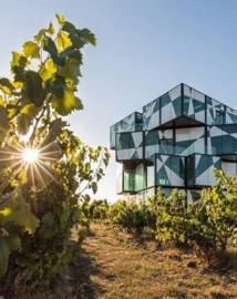 d'Arenberg The Stump Jump Chardonnay