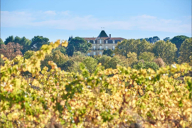 Frankrijk: Vin de France (Languedoc) – La Provenquiere – Vin Orange