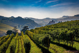 Barolo Palladino Serralunga