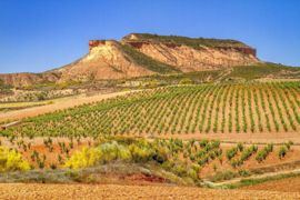 Spanje: Marques de Somera Rosado