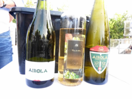 Bierzo - By The Grape