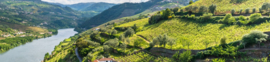 Italië: Vigna Madre Kriya Cabernet Sauvignon