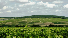 Jean Goulley Chablis