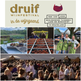 Gooi en Eemlander: Druif in de Wijngaard