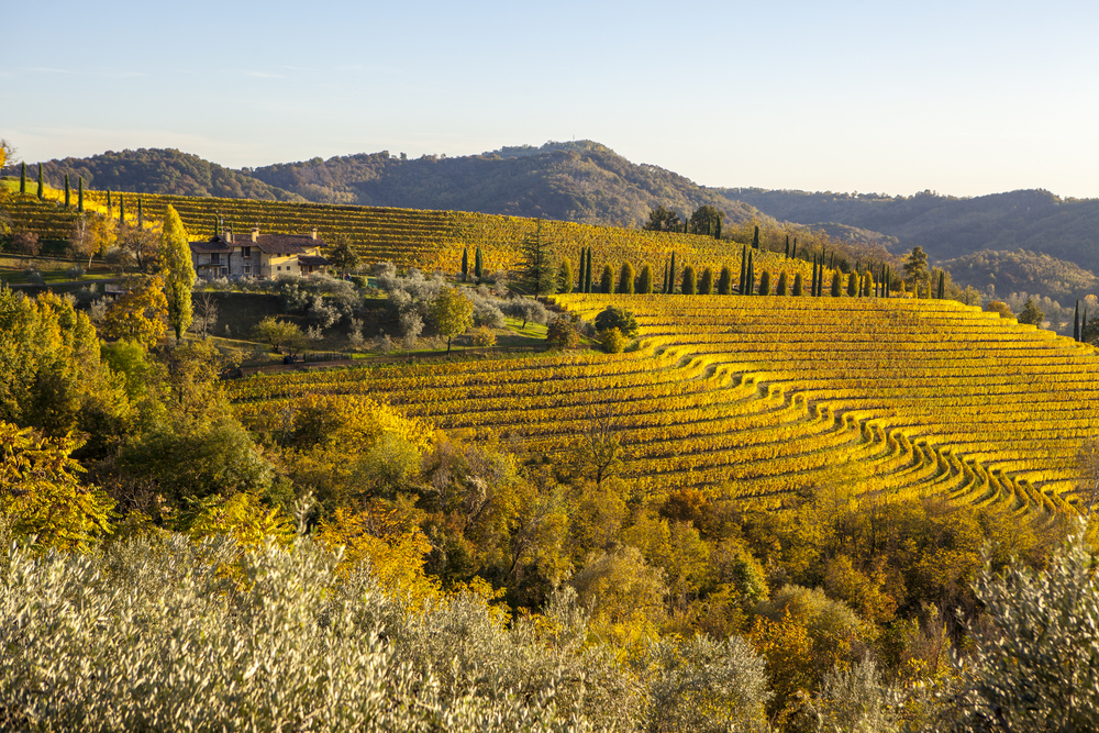 Italië: Perusini – Refosco dal Peduncolo Rosso