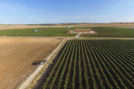 Spanje: Finca Navahermosa SOL Chardonnay