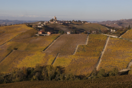 Barolo Palladino Serralunga