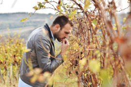 Servië: Bikicki Winery Sfera Noir