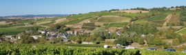 Frankrijk: Simon & Daniel Chotard Sancerre