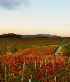 Barolo Chionetti Parussi