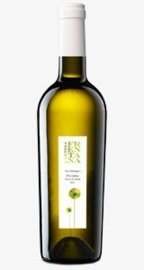 Message in a bottle...schapenkaas - By The Grape