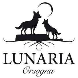 Italië: Lunaria Civitas Peccorino