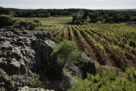 Frankrijk: Villa des Croix Picpoul de Pinet