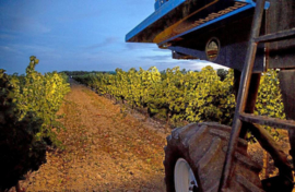 Spanje : La Posada Verdejo